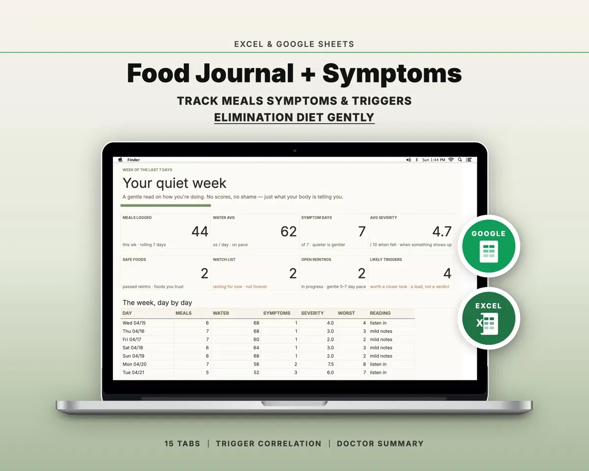 Food Journal Symptom Tracker Spreadsheet preview 1