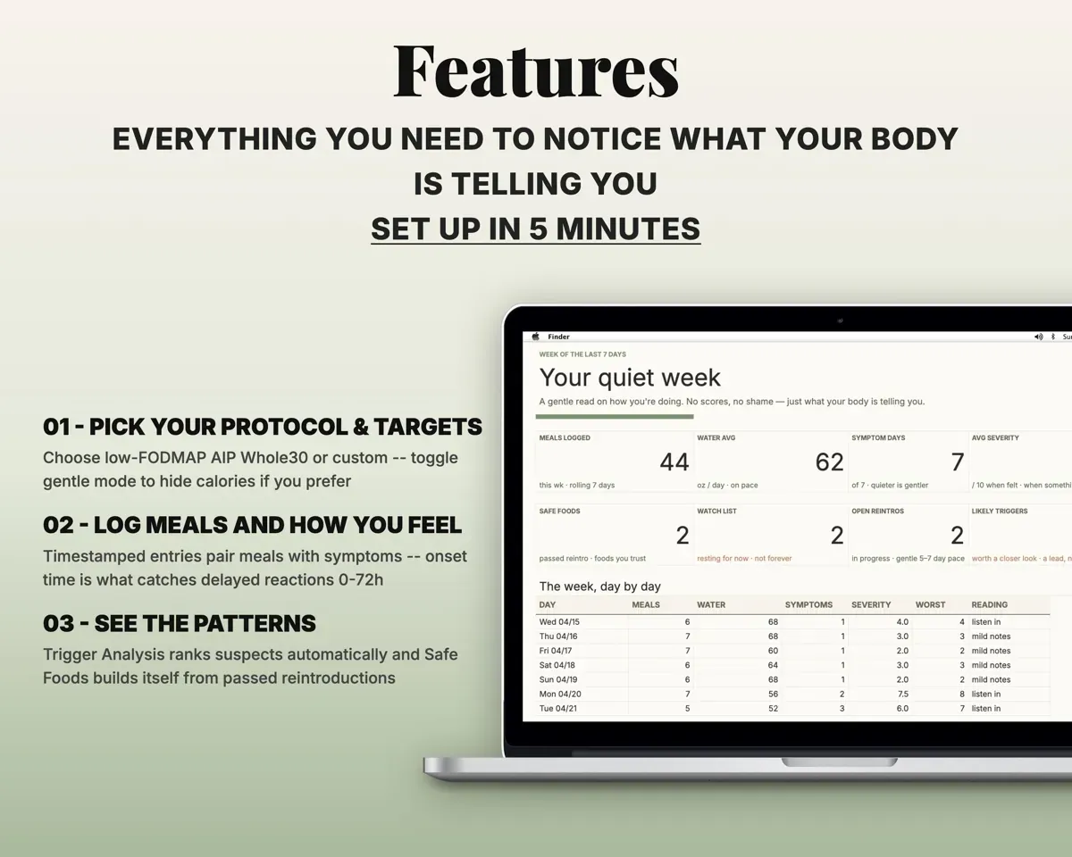 Food Journal Symptom Tracker Spreadsheet preview 2
