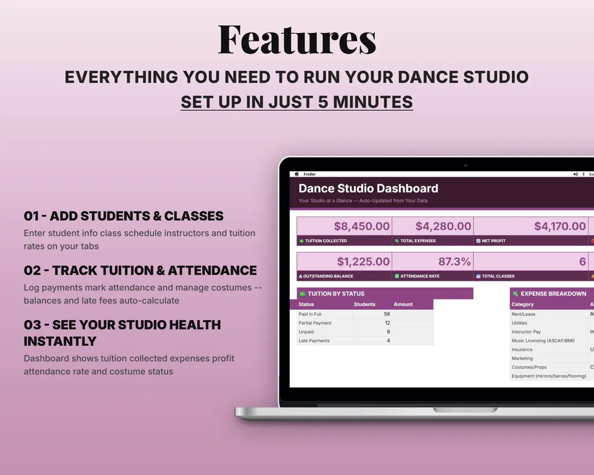 Dance Studio Business Tracker preview 2