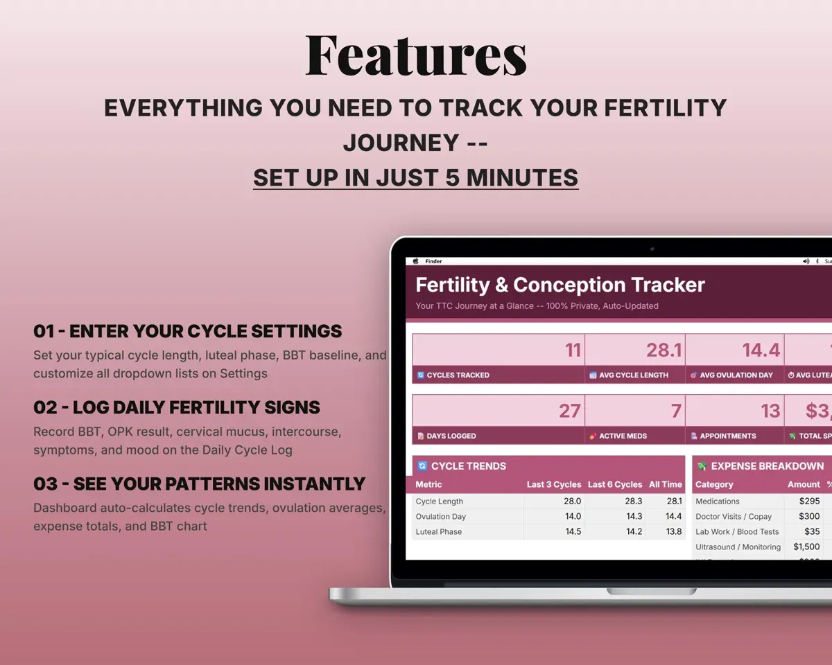 Fertility Tracker Spreadsheet preview 2
