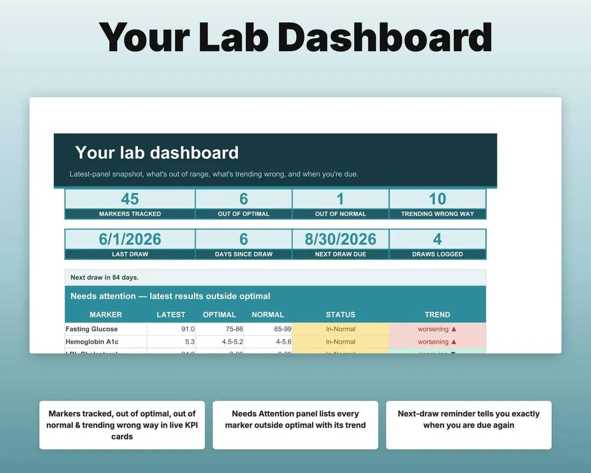 Lab Results Tracker Spreadsheet preview 3