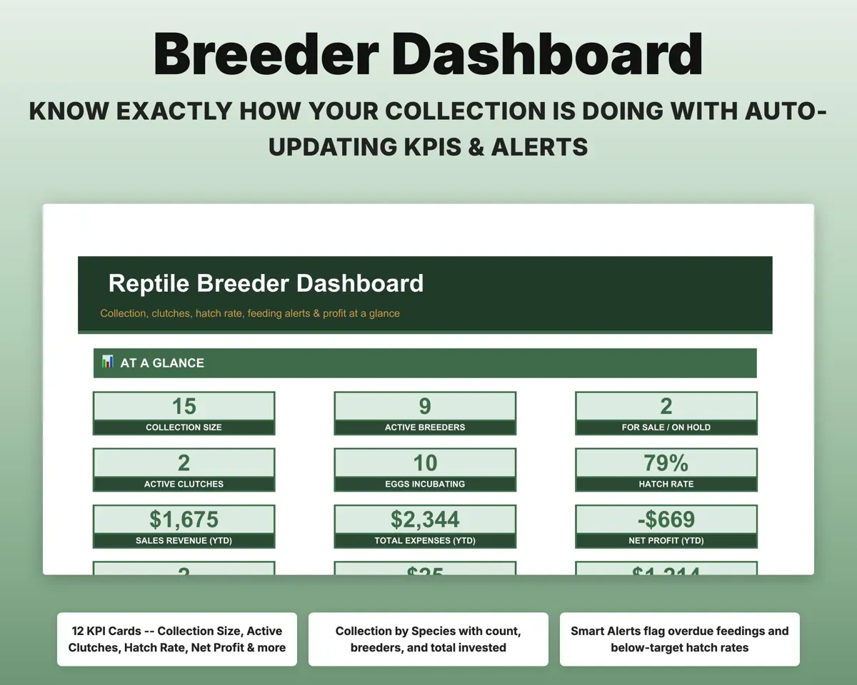 Reptile Breeder Spreadsheet preview 3