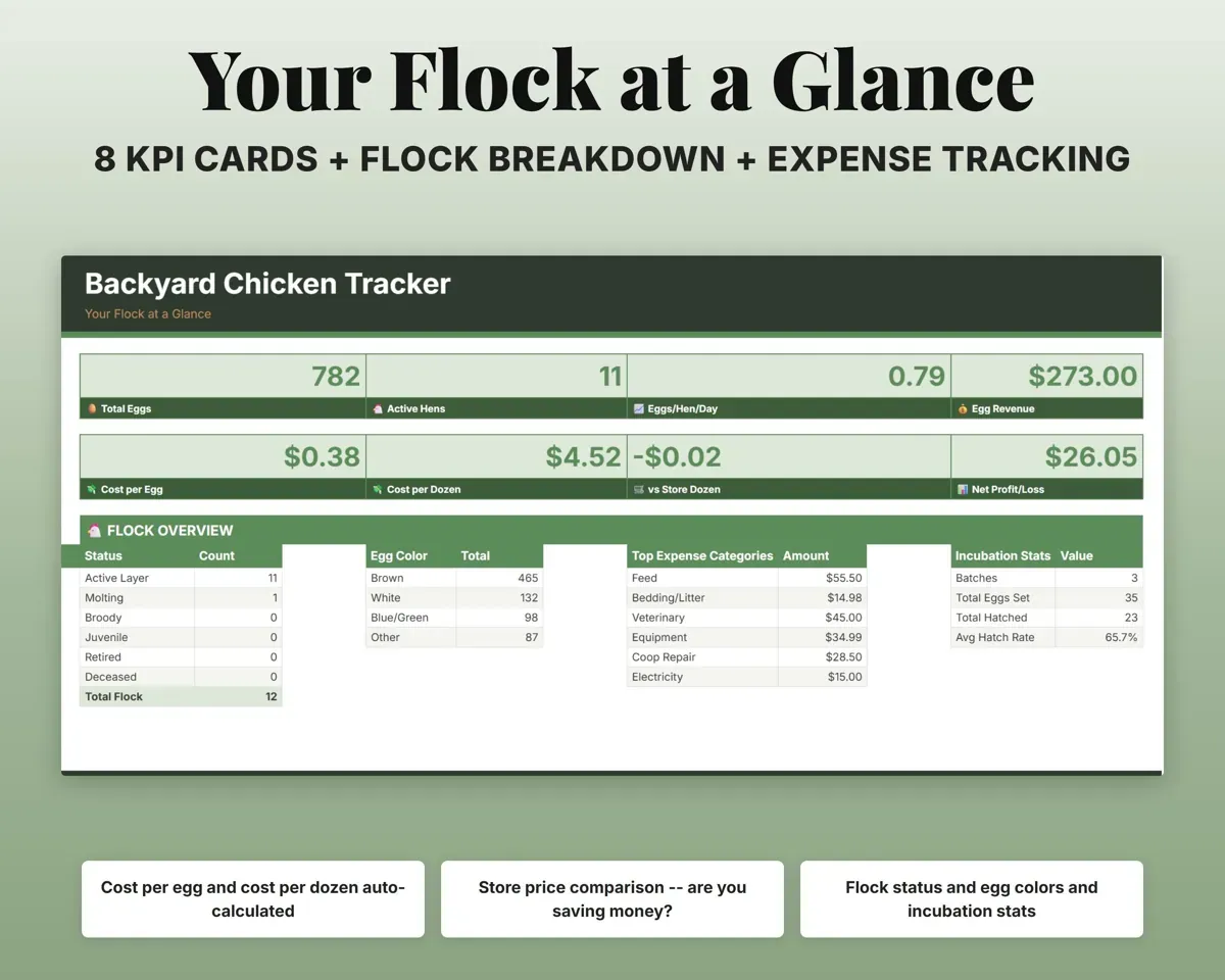 Backyard Chicken Tracker Spreadsheet preview 3