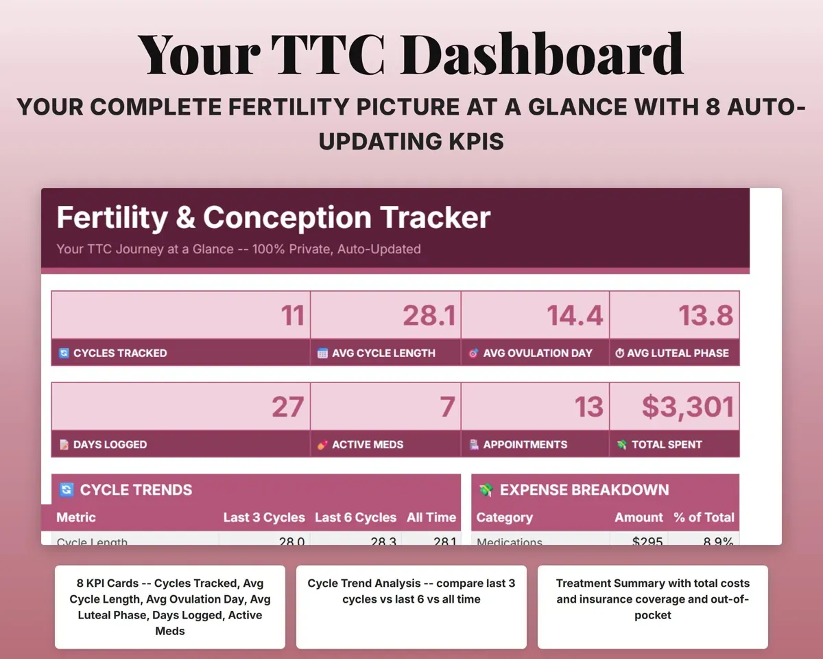 Fertility Tracker Spreadsheet preview 3