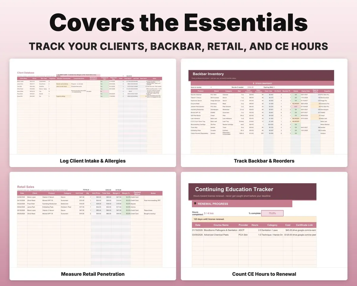 Esthetician Business Tracker preview 4