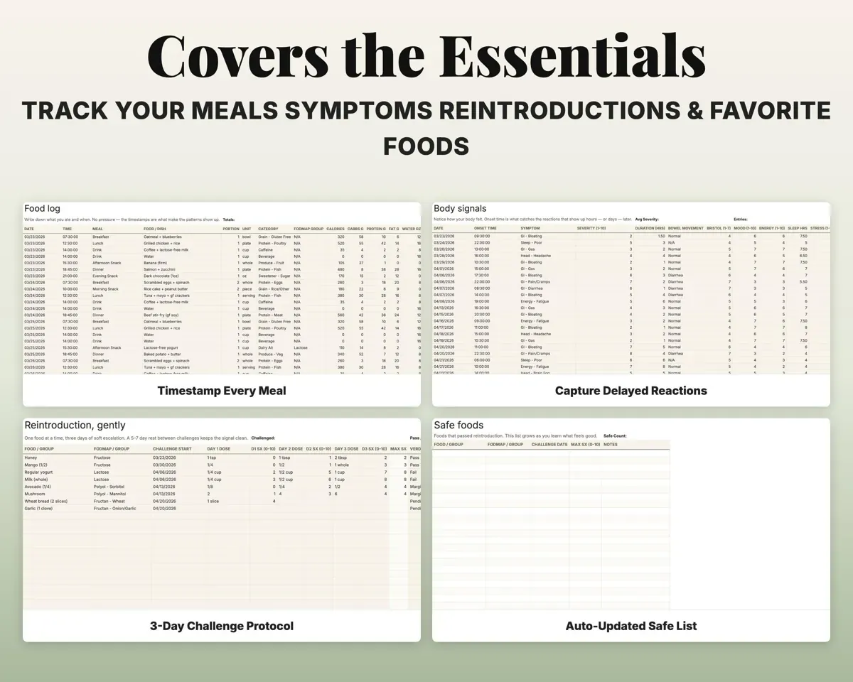 Food Journal Symptom Tracker Spreadsheet preview 4