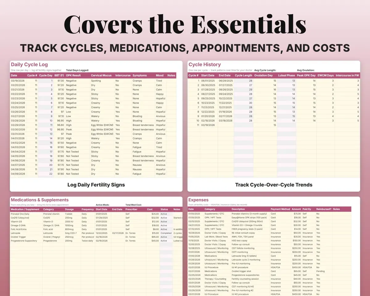Fertility Tracker Spreadsheet preview 4