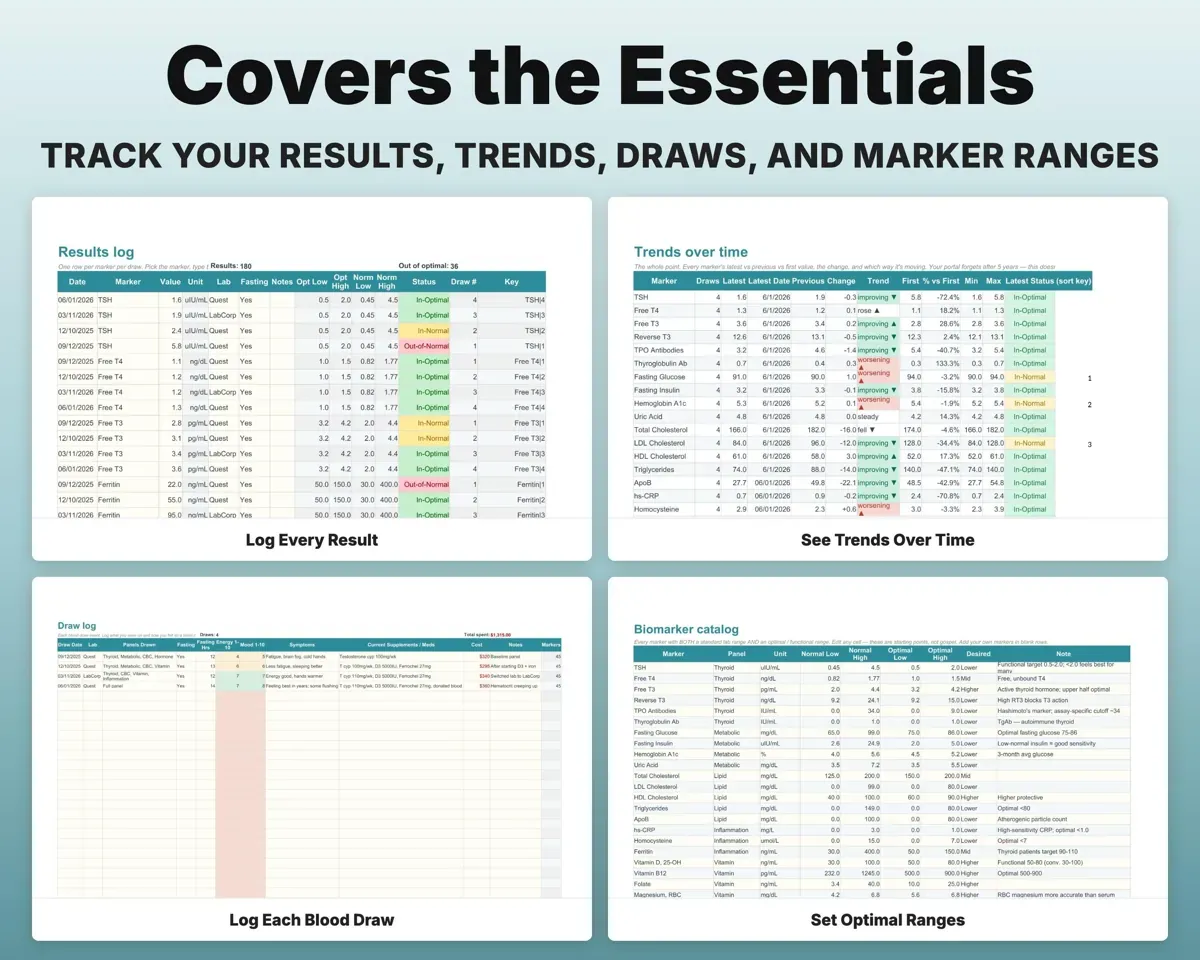 Lab Results Tracker Spreadsheet preview 4
