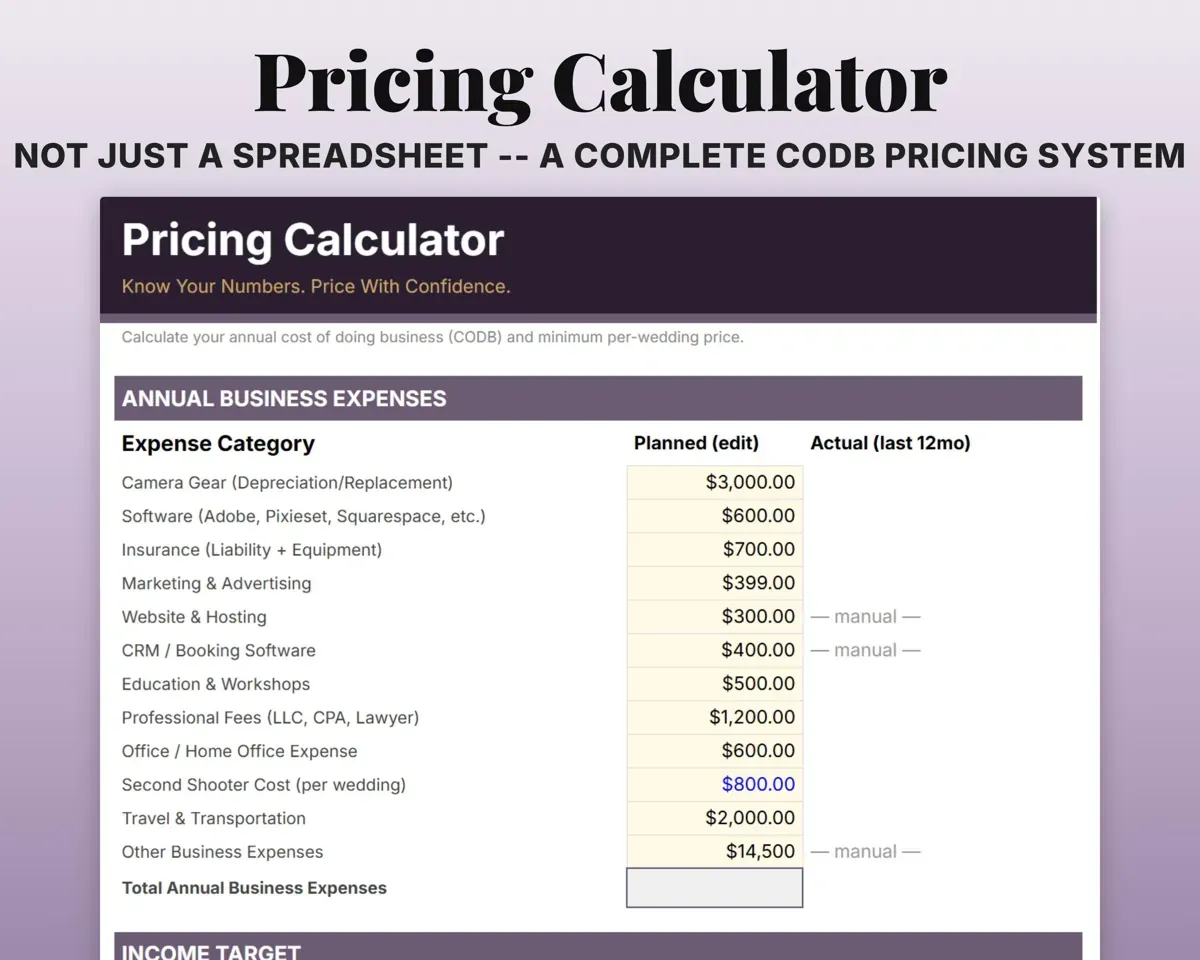 Wedding Photographer Business Planner preview 5