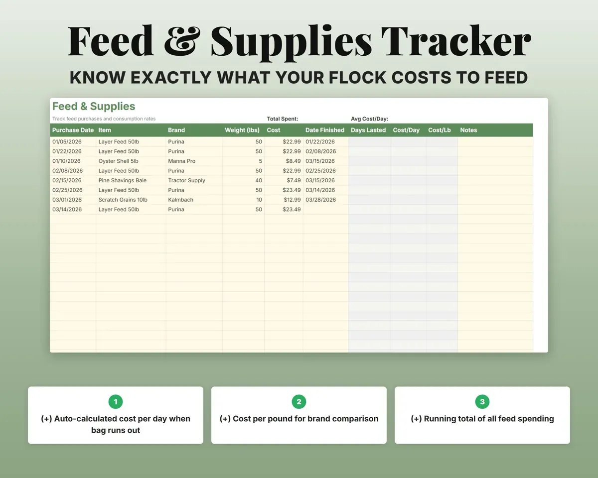 Backyard Chicken Tracker Spreadsheet preview 5