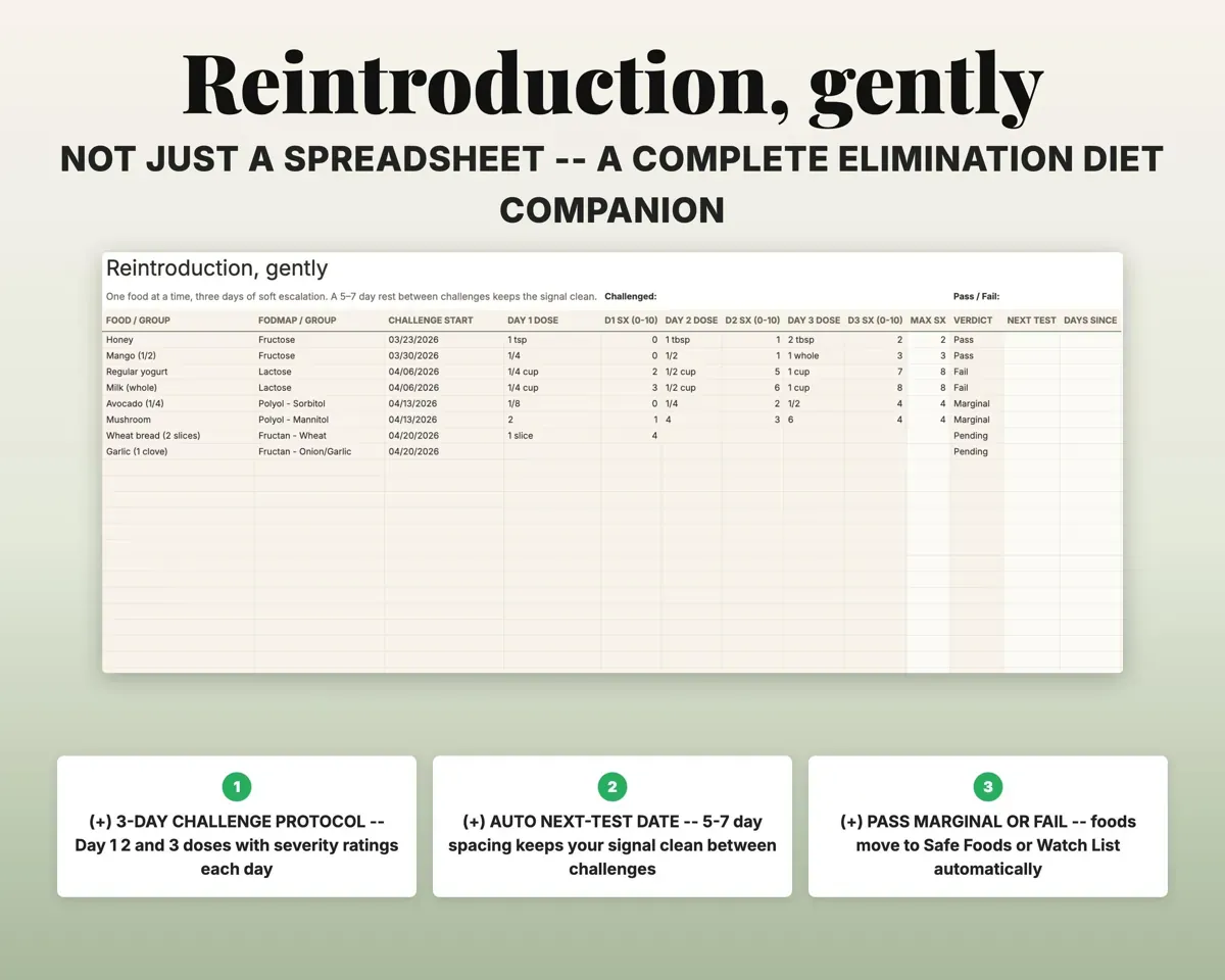 Food Journal Symptom Tracker Spreadsheet preview 5