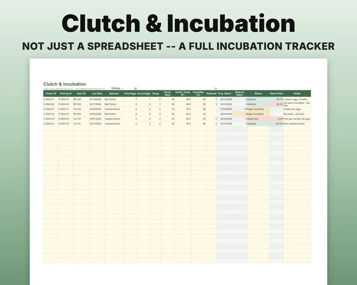 Reptile Breeder Spreadsheet preview 5