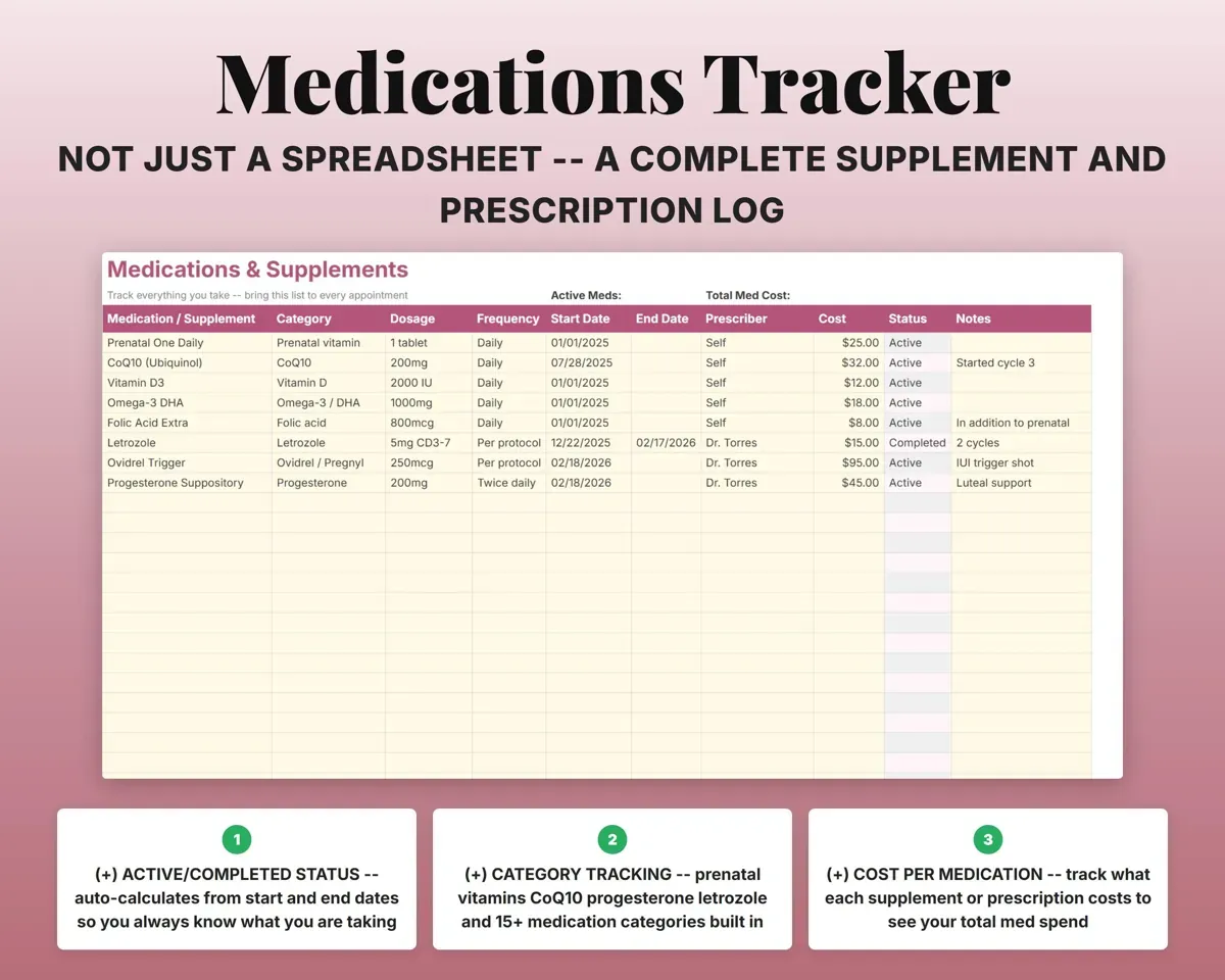 Fertility Tracker Spreadsheet preview 5