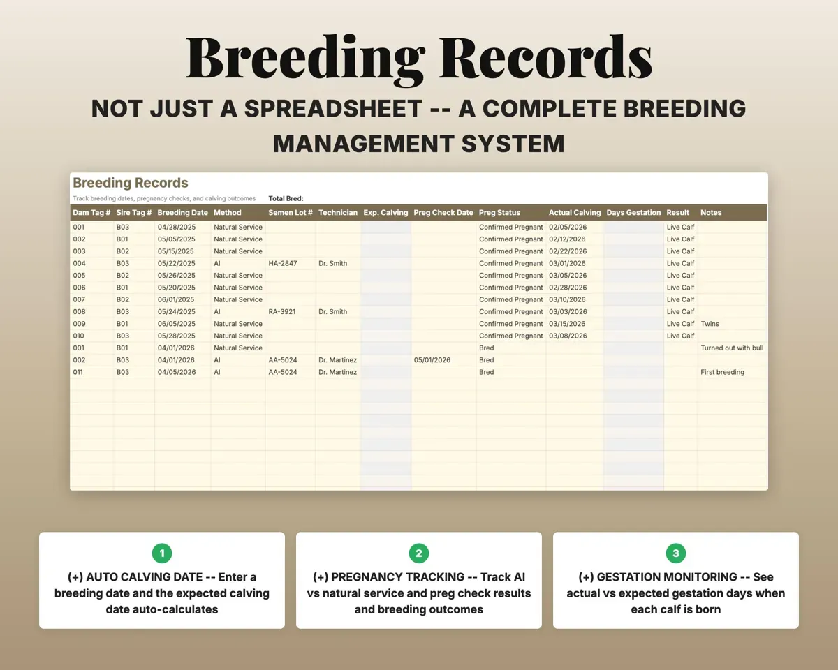 Cattle Record Book Spreadsheet preview 5