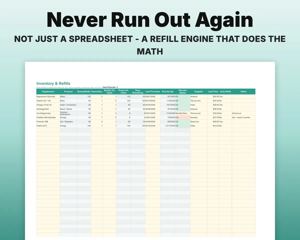 Supplement Tracker Spreadsheet preview 5