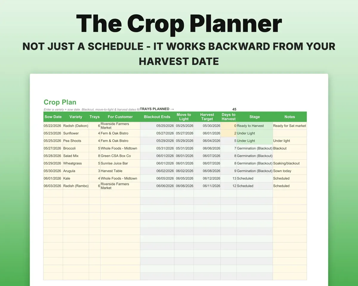 Microgreens Business Tracker Spreadsheet preview 5