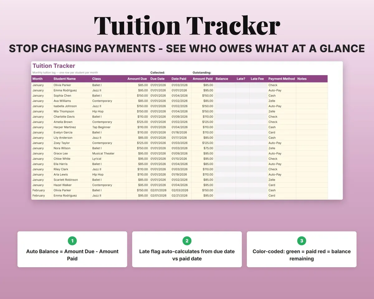 Dance Studio Business Tracker preview 5