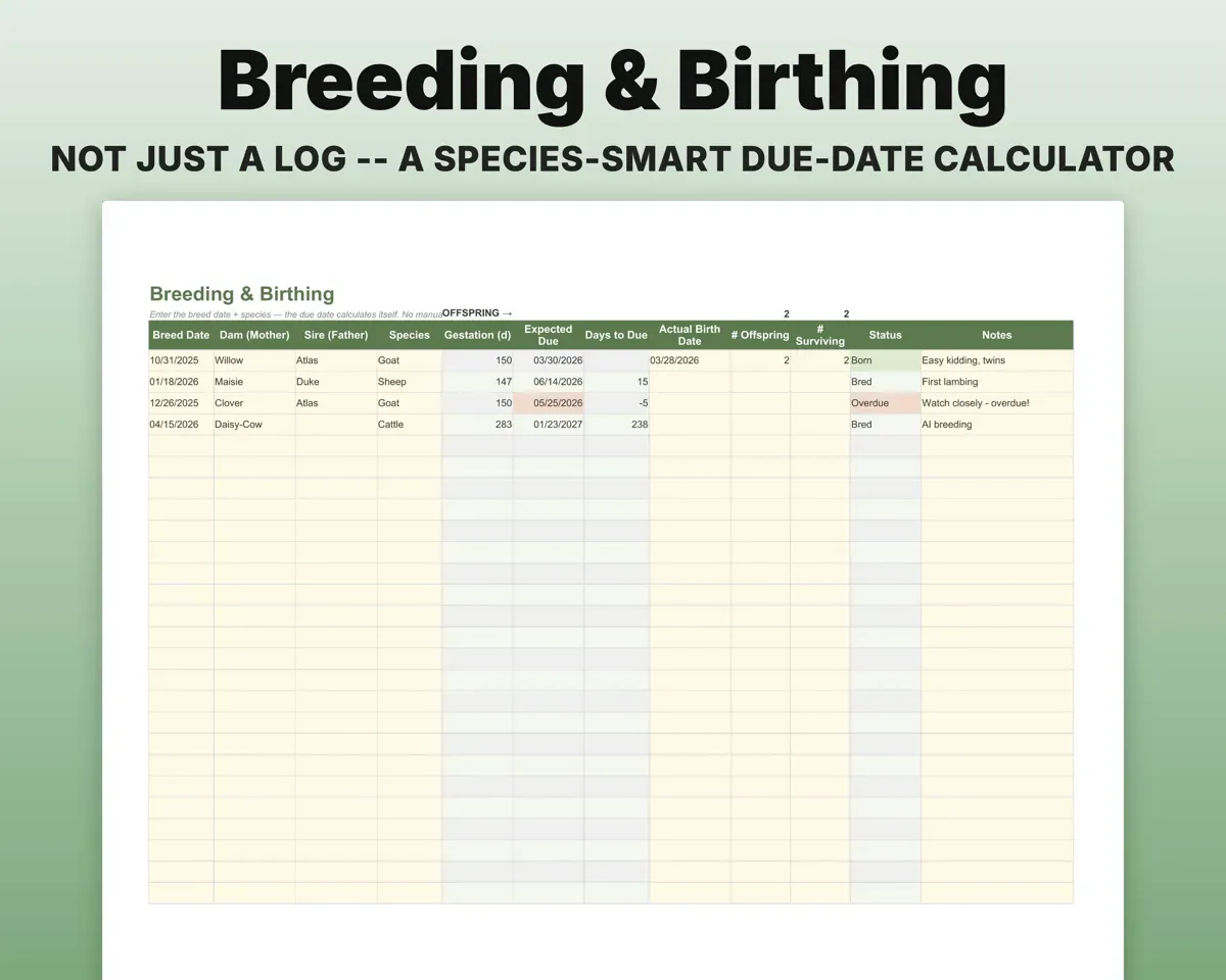 Livestock Tracker Spreadsheet preview 5