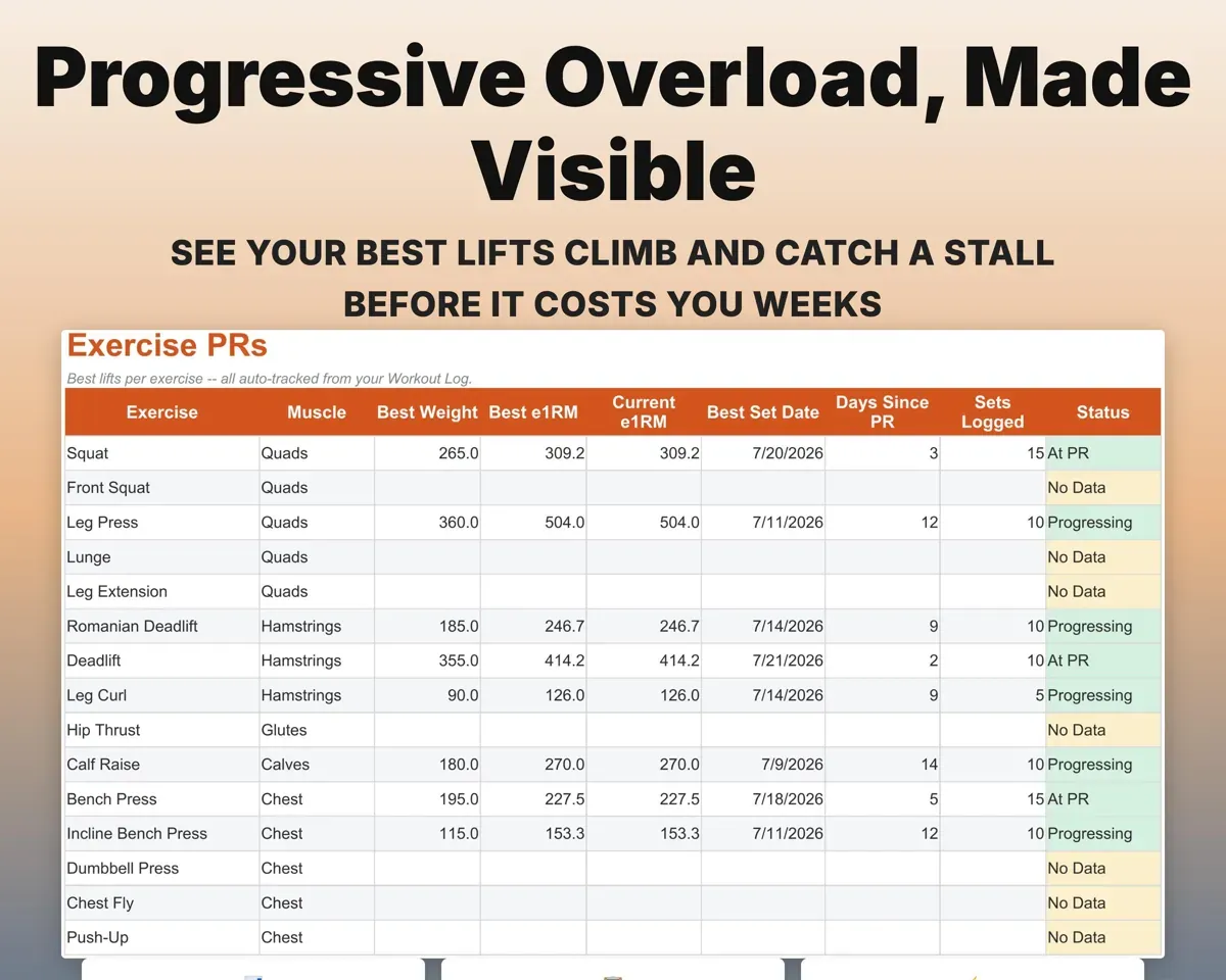 Workout Log Spreadsheet preview 6
