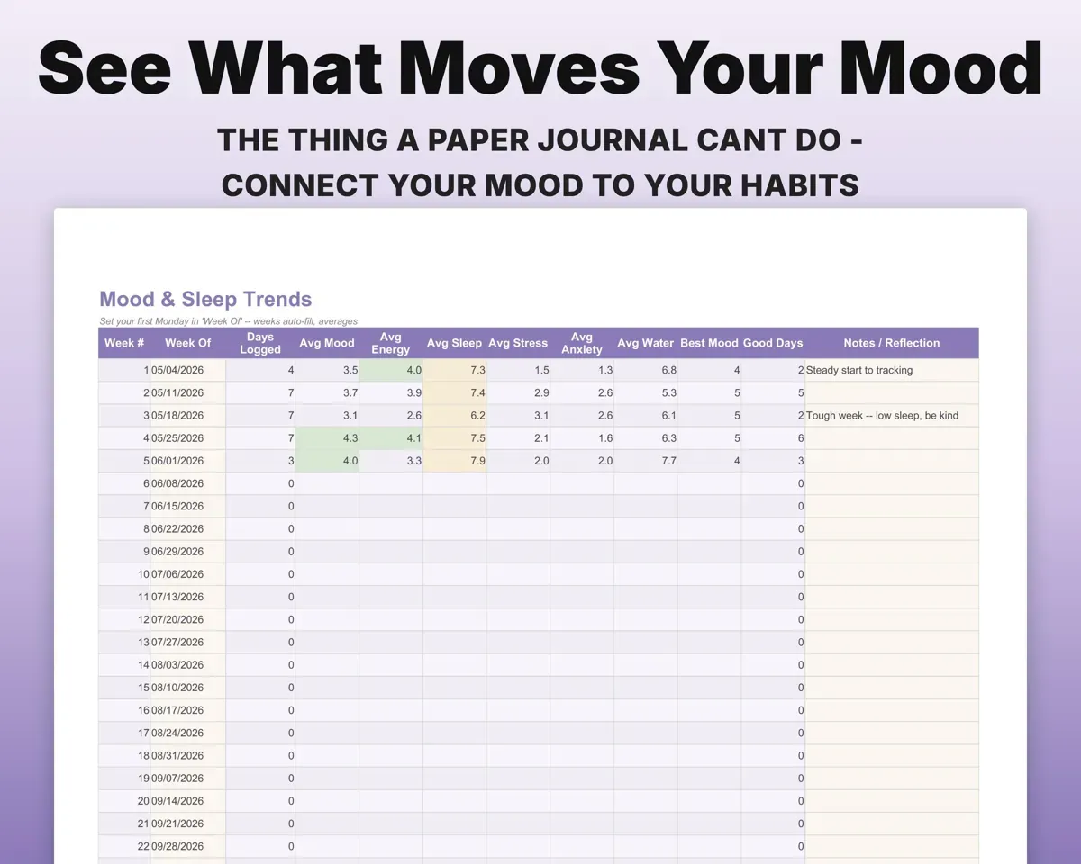 Self Care Tracker Spreadsheet preview 6