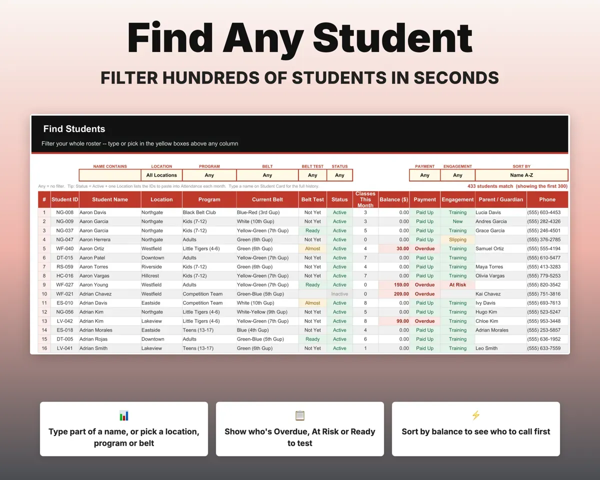 Martial Arts School Tracker preview 6