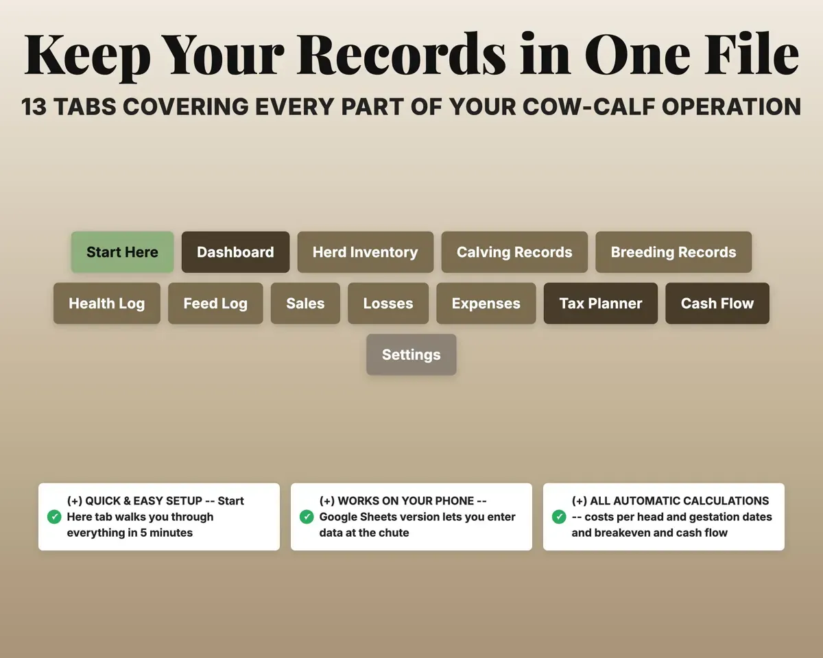 Cattle Record Book Spreadsheet preview 7