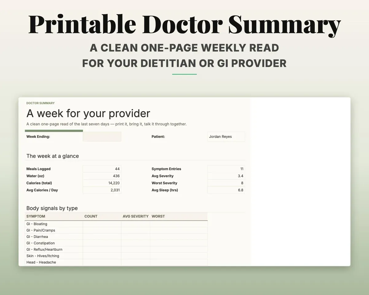 Food Journal Symptom Tracker Spreadsheet preview 8