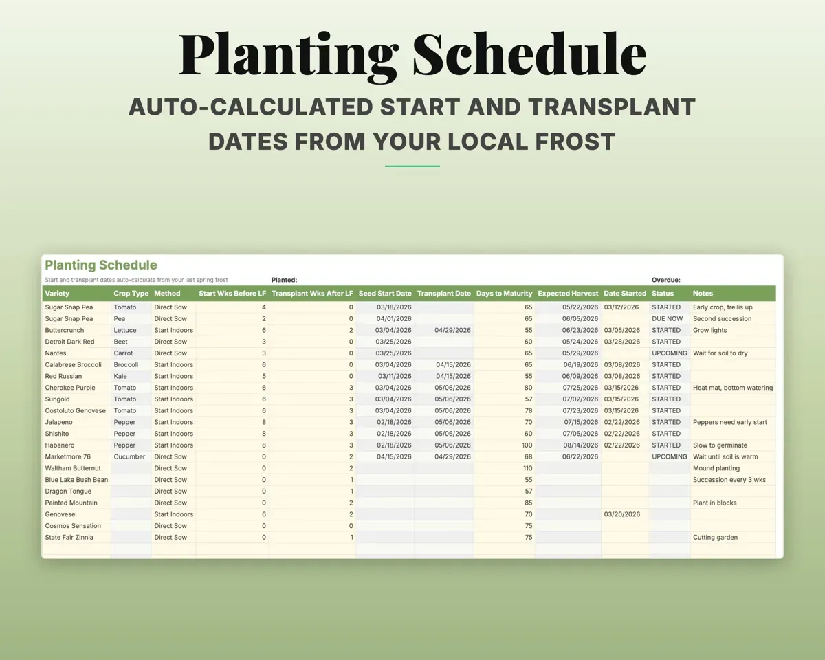 Garden Planner Spreadsheet preview 8